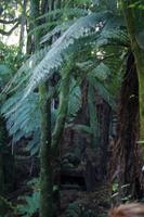 Hangi Abend &ndash; &copy; Cindy Streidt (Eberhardt TRAVEL)