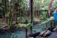 Hangi Abend &ndash; &copy; Cindy Streidt (Eberhardt TRAVEL)