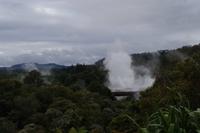 Te Puia &ndash; &copy; Cindy Streidt (Eberhardt TRAVEL)