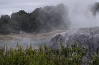 Te Puia &ndash; &copy; Cindy Streidt (Eberhardt TRAVEL)