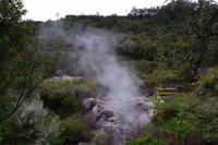 Te Puia &ndash; &copy; Cindy Streidt (Eberhardt TRAVEL)