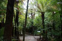 Rainbow Springs &ndash; &copy; Cindy Streidt (Eberhardt TRAVEL)