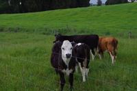Farmübernachtung &ndash; &copy; Cindy Streidt (Eberhardt TRAVEL)