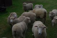 Farmübernachtung &ndash; &copy; Cindy Streidt (Eberhardt TRAVEL)
