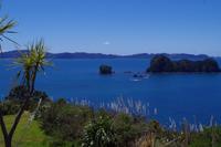 Spaziergang zur Cathredral Cove &ndash; &copy; Cindy Streidt (Eberhardt TRAVEL)