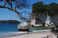 Cathedral Cove &ndash; &copy; Cindy Streidt (Eberhardt TRAVEL)