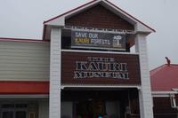 Kauri Museum &ndash; &copy; Cindy Streidt (Eberhardt TRAVEL)