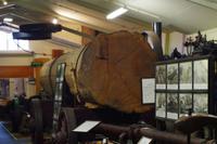Im Kaurimuseum &ndash; &copy; Cindy Streidt (Eberhardt TRAVEL)