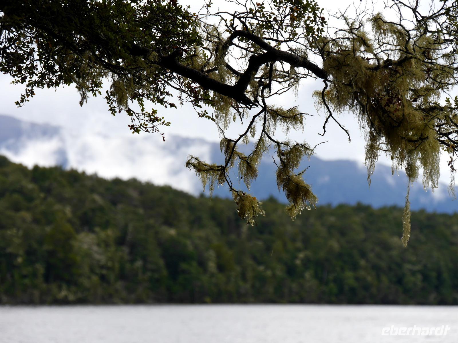 Lake Te Anau &ndash; &copy; Anna Stiebing (Eberhardt TRAVEL)