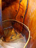 Treppe im Kauri &ndash; &copy; Anna Stiebing (Eberhardt TRAVEL)