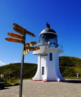 Cape Reinga &ndash; &copy; Anna Stiebing (Eberhardt TRAVEL)