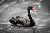 Rotorua &ndash; &copy; Anna Stiebing (Eberhardt TRAVEL)