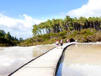 Wai-O-Tapu &ndash; &copy; Anna Stiebing (Eberhardt TRAVEL)
