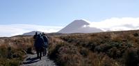 Tongariro Nationalpark &ndash; &copy; Anna Stiebing (Eberhardt TRAVEL)