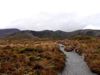 Tongariro Nationalpark &ndash; &copy; Anna Stiebing (Eberhardt TRAVEL)