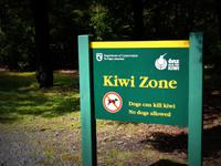 Kiwi Zone &ndash; &copy; Anna Stiebing (Eberhardt TRAVEL)