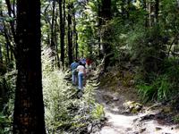 Nelson Lakes Nationalpark &ndash; &copy; Anna Stiebing (Eberhardt TRAVEL)