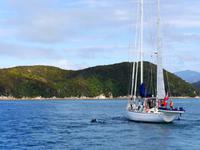 Abel Tasman Nationalpark &ndash; &copy; Anna Stiebing (Eberhardt TRAVEL)