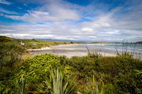 Cape Foulwind &ndash; &copy; Anna Stiebing (Eberhardt TRAVEL)