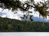 Lake Te Anau &ndash; &copy; Anna Stiebing (Eberhardt TRAVEL)