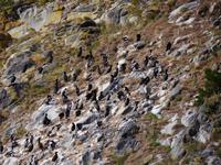 Otago Halbinsel &ndash; &copy; Anna Stiebing (Eberhardt TRAVEL)