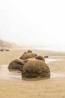 Moeraki Boulders &ndash; &copy; Anna Stiebing (Eberhardt TRAVEL)