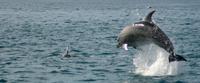 Abel Tasman Nationalpark &ndash; &copy; Anna Stiebing (Eberhardt TRAVEL)