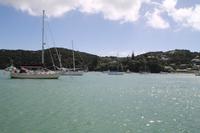 Bay of Islands - Whalewatching Tour &ndash; &copy; Jacob Spangenberg (Eberhardt TRAVEL)