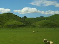 Wellington - Ohakune &ndash; &copy; Juliane Voigt (Eberhardt TRAVEL)
