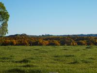 Ohakune &ndash; &copy; Juliane Voigt (Eberhardt TRAVEL)