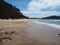 Hot Water Beach &ndash; &copy; Juliane Voigt (Eberhardt TRAVEL)