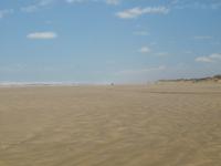 Freizeit in Paihia - Ausflug zum Cape Reinga - Ninety Mile Beach &ndash; &copy; Juliane Voigt (Eberhardt TRAVEL)