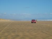 Freizeit in Paihia - Ausflug zum Cape Reinga - Ninety Mile Beach &ndash; &copy; Juliane Voigt (Eberhardt TRAVEL)