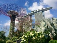 Singapur &ndash; &copy; Ngoc Anh Nguyen (Eberhardt TRAVEL)