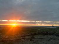 Punakaiki &ndash; &copy; Ngoc Anh Nguyen (Eberhardt TRAVEL)