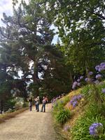 Dunedin Botanischer Garten &ndash; &copy; Ngoc Anh Nguyen (Eberhardt TRAVEL)