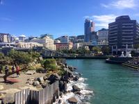 Wellington &ndash; &copy; Ngoc Anh Nguyen (Eberhardt TRAVEL)