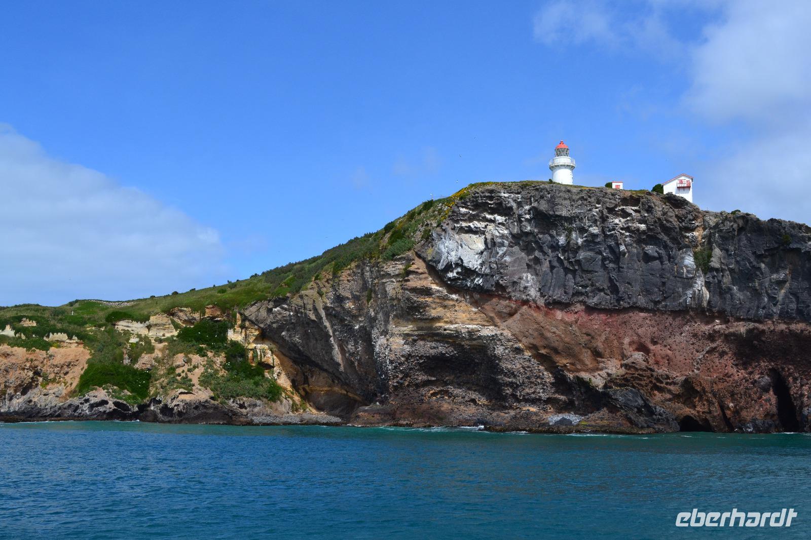 Otago-Halbinsel - Albatross-Beobachtung &ndash; &copy; Andreas Wolfsteller (Eberhardt TRAVEL)
