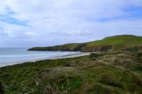 Otago-Halbinsel - Pinguin-Aufzuchtstation Penguin Place &ndash; &copy; Andreas Wolfsteller (Eberhardt TRAVEL)