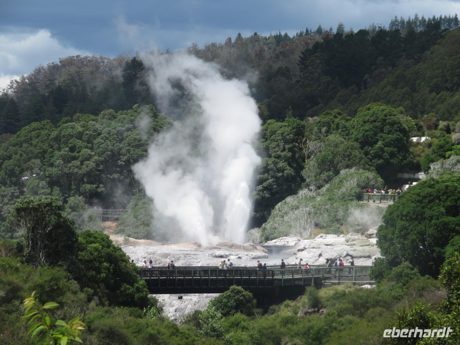 Rotorua &ndash; &copy; Benjamin Rodriguez Manzanares (Eberhardt TRAVEL)