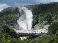 Rotorua &ndash; &copy; Benjamin Rodriguez Manzanares (Eberhardt TRAVEL)