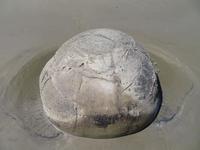 Moeraki Boulders, Südinsel Neuseeland &ndash; &copy; Benjamin Rodriguez Manzanares (Eberhardt TRAVEL)
