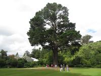 Dunedin &ndash; &copy; Benjamin Rodriguez Manzanares (Eberhardt TRAVEL)