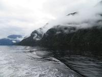 Doubtful Sound, Südinsel Neuseeland &ndash; &copy; Benjamin Rodriguez Manzanares (Eberhardt TRAVEL)