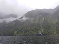 Doubtful Sound, Südinsel Neuseeland &ndash; &copy; Benjamin Rodriguez Manzanares (Eberhardt TRAVEL)