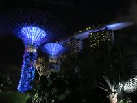 Gardens by the Bay &ndash; &copy; Rico Manns (Eberhardt TRAVEL)