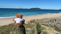 Coromandel &ndash; &copy; Rico Manns (Eberhardt TRAVEL)