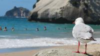 Möwe hat alles im Blick &ndash; &copy; Rico Manns (Eberhardt TRAVEL)