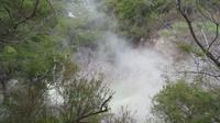 Rotorua &ndash; &copy; Rico Manns (Eberhardt TRAVEL)