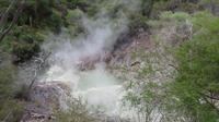 Rotorua &ndash; &copy; Rico Manns (Eberhardt TRAVEL)